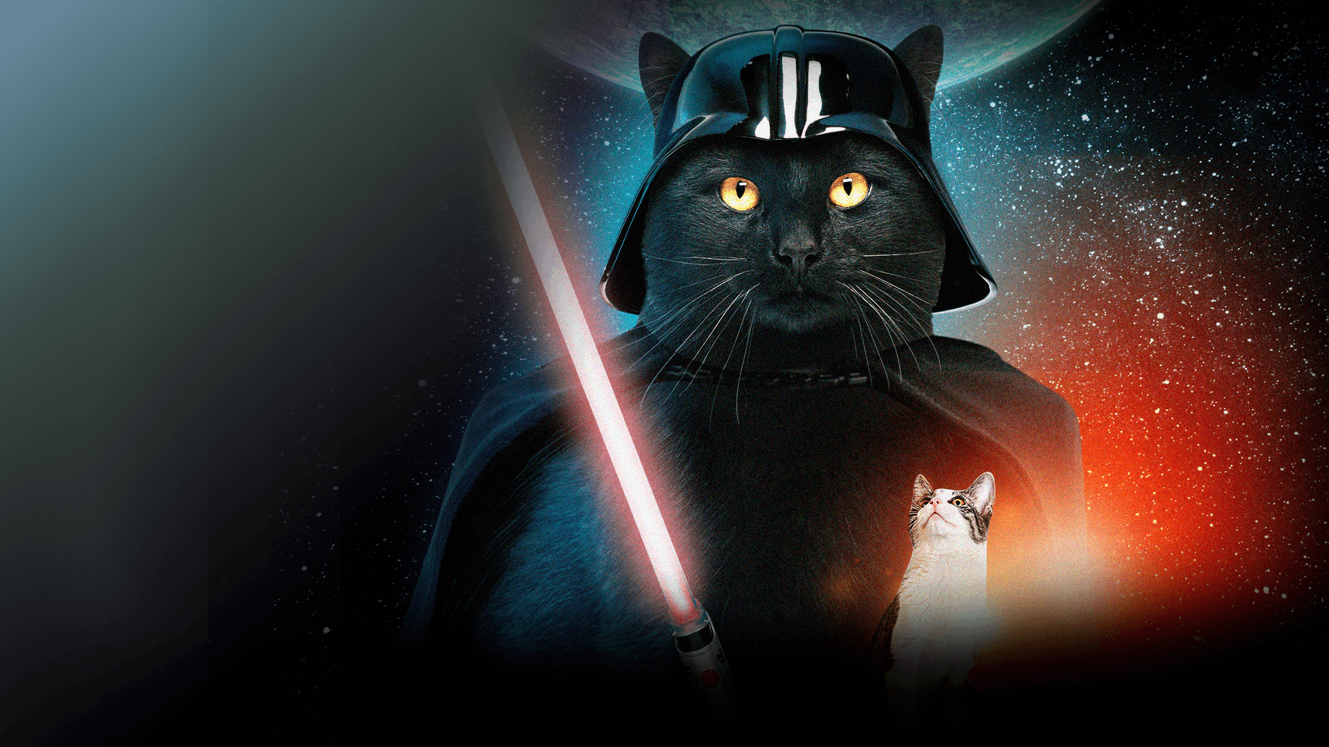 jedi-cat-portrait-star-wars-obi-wan-pet-portraits-custom-etsy